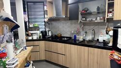 Cassia View (D14), Apartment #564204831